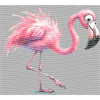 Animal Integration-DW 1605